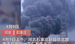 酱油事件爆料视频大全集,揭秘视频大全集背后的惊人真相