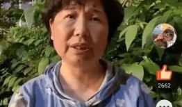 最新爆料田静直播