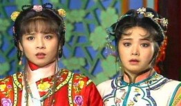 新月格格在线观看,穿越时空的浪漫传奇