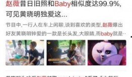 相亲大爆料完整视频,揭秘真实相亲现场，笑料与泪点齐飞