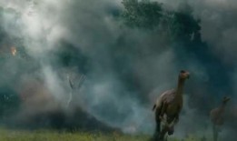 火山爆料恐龙视频,震撼视频揭秘史前奇观