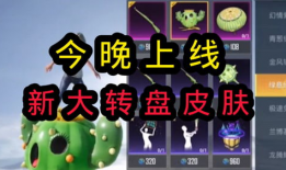 今天大转盘皮肤最新爆料,神秘角色即将亮相，视觉盛宴即将开启！
