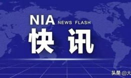 最新日本爆料新闻视频播放,视频揭露惊人内幕，真相令人震惊！