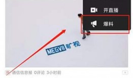 怎样发布爆料视频赚钱,轻松发布视频，月入过万不是梦