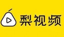 广州梨视频爆料电话,揭秘幕后真相