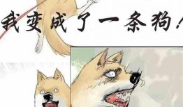 被迫吃瓜小说免费阅读全文,一场意外引发的全民狂欢