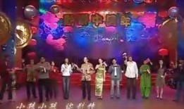 2006春晚在线观看,网络直播时代的春晚盛宴