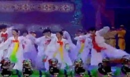 2006春晚在线观看,网络直播时代的春晚盛宴