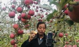 礼县吃瓜网红是谁啊图片,揭秘网络红人的魅力瞬间