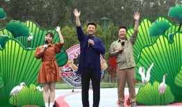 大佛最新爆料新闻视频播放,揭秘视频背后的惊人真相