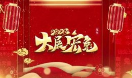 官方兔年爆料视频大全集