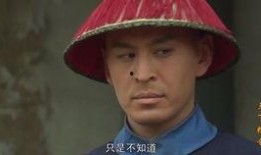 新三国67集在线观看,英雄末路，乱世风云再起