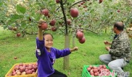 礼县吃瓜网红是谁啊图片,揭秘网络红人的魅力瞬间