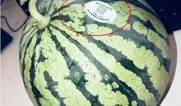 摆摊网红吃瓜,揭秘美食背后的故事