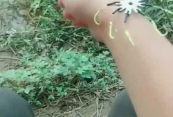 吃瓜群众领悟免费观看,吃瓜群众解锁免费观影新姿势
