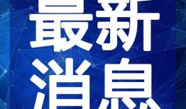 金凤万达爆料视频最新版,项目进展与未来展望