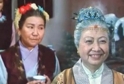 刘姥姥的爆料视频播放在线观看,揭秘娱乐圈不为人知的一面